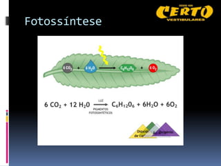 Fotossíntese
 