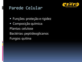 Parede Celular

 Funções: proteção e rigidez
 Composição química:
Plantas: celulose
Bactérias: peptideoglicanos
Fungos: quitina
 