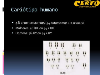 Cariótipo humano

 46 cromossomos (44 autossomos + 2 sexuais)
 Mulheres: 46.XX ou 44 + XX
 Homens: 46.XY ou 44 + XY
 