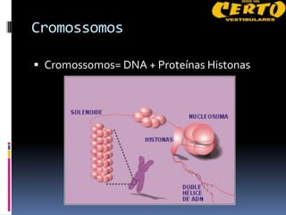 Cromossomos

 Cromossomos= DNA + Proteínas Histonas
 