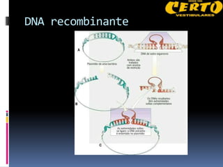 DNA recombinante
 