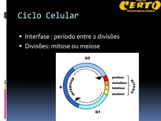 Ciclo Celular

 Interfase : período entre 2 divisões
 Divisões: mitose ou meiose
 