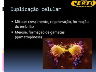 Duplicação celular

 Mitose: crescimento, regeneração, formação
  do embrião
 Meiose: formação de gametas
  (gametogênese)
 