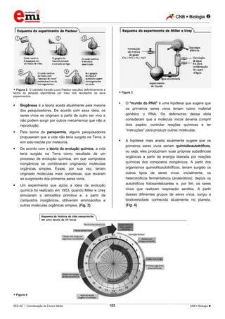 CNB  Biologia 
_________________________________________________________________________________________________________________________
___________________________________________________________________________________________________________________________________________________________________________________________________________________________________________________________________________________________________________________________________________________________________________________________________________________________ _____________________________________________________________________________________________________________
SEE-AC  Coordenação de Ensino Médio CNB  Biologia 153
 Figura 2 O cientista francês Louis Pasteur sepultou definitivamente a
teoria da geração espontânea por meio dos resultados de seus
experimentos.
 Biogênese é a teoria aceita atualmente pela maioria
dos pesquisadores. De acordo com essa ideia, os
seres vivos se originam a partir de outro ser vivo e
não podem surgir por outros mecanismos que não a
reprodução.
 Pela teoria da panspermia, alguns pesquisadores
propuseram que a vida não teria surgido na Terra, e
sim sido trazida por meteoros.
 De acordo com a teoria da evolução química, a vida
teria surgido na Terra como resultado de um
processo de evolução química, em que compostos
inorgânicos se combinaram originando moléculas
orgânicas simples. Essas, por sua vez, teriam
originado moléculas mais complexas, que levaram
ao surgimento dos primeiros seres vivos.
 Um experimento que apoia a ideia da evolução
química foi realizado em 1953, quando Miller e Urey
simularam a atmosfera primitiva e, a partir de
compostos inorgânicos, obtiveram aminoácidos e
outras moléculas orgânicas simples. (Fig. 3)
 Figura 3
 O “mundo do RNA” é uma hipótese que sugere que
os primeiros seres vivos teriam como material
genético o RNA. Os defensores dessa ideia
consideram que a molécula inicial deveria cumprir
dois papéis: controlar reações químicas e ter
“instruções” para produzir outras moléculas.
 A hipótese mais aceita atualmente sugere que os
primeiros seres vivos seriam quimiolitoautotróficos,
ou seja, eles produziriam suas próprias substâncias
orgânicas a partir da energia liberada por reações
químicas dos compostos inorgânicos. A partir dos
organismos quimiolitoautotróficos, teriam surgido os
outros tipos de seres vivos: inicialmente, os
heterotróficos fermentativos (anaeróbios), depois os
autotróficos fotossintetizantes e, por fim, os seres
vivos que realizam respiração aeróbia. A partir
desses diferentes grupos de seres vivos, surgiu a
biodiversidade conhecida atualmente no planeta.
(Fig. 4)
 Figura 4
 