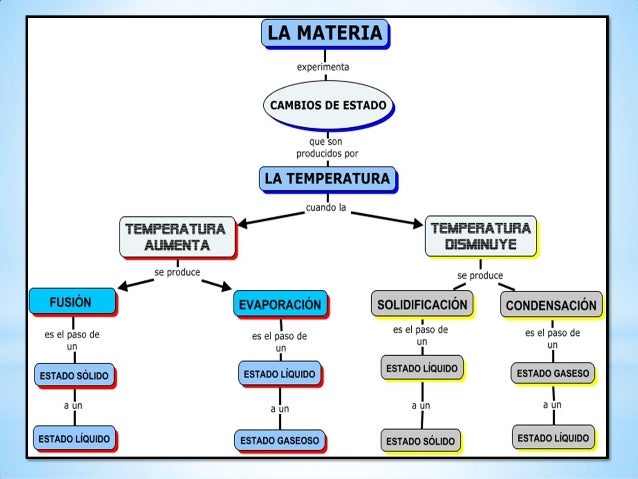 Niveles de Organización de la Materia Clase 2