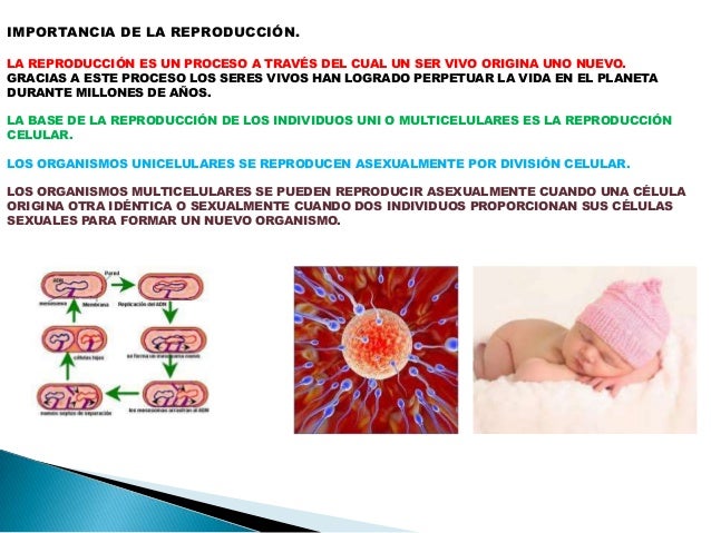 Biologia 2. bloque 1