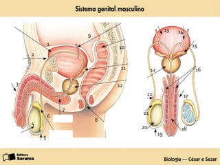 1
2
3
4
5
6
7
8
9
10
11
12
12
13 14
15
16
17
18
19
20
21
22
 