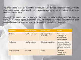 - Quando o bebé nasce e a placenta é expulsa, os níveis destas hormonas baixam, podendo
a prolactina actuar sobre as glândulas mamárias que começam a produzir inicialmente
colostro e depois leite.
- A sucção do mamilo induz a libertação de prolactina, pela hipófise, o que estimula as
glândulas mamárias a produzirem mais leite. A hormona oxitocina continua também a ser
produzida periodicamente, em resposta à sucção, levando à ejecção do leite.
Hormona Tecido de origem Tecido – alvo Função
Oxitocina Hipófise posterior Útero e glândulas
mamárias
Promove a
contracção do
músculo liso e a
ejecção de leite
Prolactina Hipófise anterior Glândulas mamárias Aumenta a síntese
das proteínas do leite
e o crescimento das
glândulas mamárias
Prostaglandinas Placenta Útero Promove a
contracção do
músculo liso
 