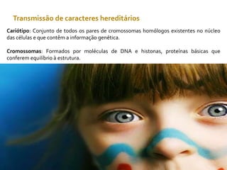 Transmissão de caracteres hereditários
Cariótipo: Conjunto de todos os pares de cromossomas homólogos existentes no núcleo
das células e que contêm a informação genética.
Cromossomas: Formados por moléculas de DNA e histonas, proteínas básicas que
conferem equilíbrio à estrutura.
 