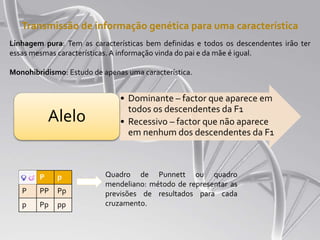 Transmissão de informação genética para uma característica
Linhagem pura: Tem as características bem definidas e todos os descendentes irão ter
essas mesmas características. A informação vinda do pai e da mãe é igual.
Monohibridismo: Estudo de apenas uma característica.
• Dominante – factor que aparece em
todos os descendentes da F1
• Recessivo – factor que não aparece
em nenhum dos descendentes da F1
Alelo
P p
P PP Pp
p Pp pp
Quadro de Punnett ou quadro
mendeliano: método de representar as
previsões de resultados para cada
cruzamento.
 