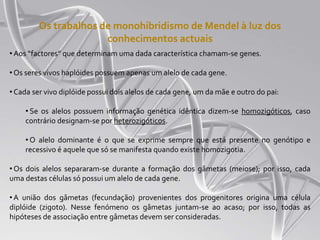 Os trabalhos de monohibridismo de Mendel à luz dos
conhecimentos actuais
• Aos “factores” que determinam uma dada característica chamam-se genes.
• Os seres vivos haplóides possuem apenas um alelo de cada gene.
• Cada ser vivo diplóide possui dois alelos de cada gene, um da mãe e outro do pai:
• Se os alelos possuem informação genética idêntica dizem-se homozigóticos, caso
contrário designam-se por heterozigóticos.
• O alelo dominante é o que se exprime sempre que está presente no genótipo e
recessivo é aquele que só se manifesta quando existe homozigotia.
• Os dois alelos separaram-se durante a formação dos gâmetas (meiose); por isso, cada
uma destas células só possui um alelo de cada gene.
•A união dos gâmetas (fecundação) provenientes dos progenitores origina uma célula
diplóide (zigoto). Nesse fenómeno os gâmetas juntam-se ao acaso; por isso, todas as
hipóteses de associação entre gâmetas devem ser consideradas.
 