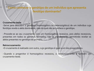 Como conhecer o genótipo de um indivíduo que apresenta
fenótipo dominante?
Cruzamento-teste
-Serve para descobrir o genótipo (homozigótico ou heterozigótico) de um indivíduo cujo
fenótipo revela o alelo dominante, mas do qual não se conhece o genótipo.
- Procede-se ao seu cruzamento com um homozigótico recessivo, pois alelos recessivos,
presentes em todos os gâmetas formados, não se manifestarão, permitindo revelar os
alelos presentes no genótipo do primeiro.
Retrocruzamento
-O cruzamento é realizado com outro, cujo genótipo é igual a um dos progenitores.
- Quando o progenitor é homozigótico recessivo, o retrocruzamento é também um
cruzamento-teste.
 