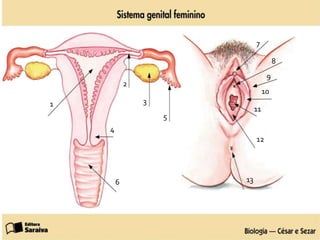 1
2
3
4
5
6
7
8
9
10
11
12
13
 