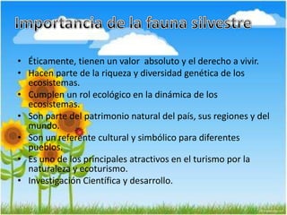 • Éticamente, tienen un valor absoluto y el derecho a vivir.
• Hacen parte de la riqueza y diversidad genética de los
ecosistemas.
• Cumplen un rol ecológico en la dinámica de los
ecosistemas.
• Son parte del patrimonio natural del país, sus regiones y del
mundo.
• Son un referente cultural y simbólico para diferentes
pueblos.
• Es uno de los principales atractivos en el turismo por la
naturaleza y ecoturismo.
• Investigación Científica y desarrollo.
 