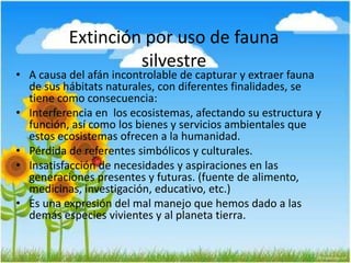 Extinción por uso de fauna
silvestre
• A causa del afán incontrolable de capturar y extraer fauna
de sus hábitats naturales, con diferentes finalidades, se
tiene como consecuencia:
• Interferencia en los ecosistemas, afectando su estructura y
función, así como los bienes y servicios ambientales que
estos ecosistemas ofrecen a la humanidad.
• Pérdida de referentes simbólicos y culturales.
• Insatisfacción de necesidades y aspiraciones en las
generaciones presentes y futuras. (fuente de alimento,
medicinas, investigación, educativo, etc.)
• Es una expresión del mal manejo que hemos dado a las
demás especies vivientes y al planeta tierra.
 