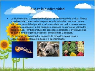 que es la biodiversidad
• La biodiversidad o diversidad biológica, es la variedad de la vida. Abarca
a la diversidad de especies de plantas y de animales que viven en un
sitio, a su variabilidad genética, a los ecosistemas de los cuales forman
parte estas especies y a los paisajes o regiones en donde se ubican los
ecosistemas. También incluye los procesos ecológicos y evolutivos que
se dan a nivel de genes, especies, ecosistemas y paisajes.
Se le llama biodiversidad al conjunto de todos los seres vivos y
especies que existen en la tierra y a su interacción.
 