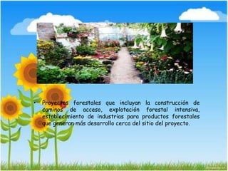 • Proyectos forestales que incluyan la construcción de
caminos de acceso, explotación forestal intensiva,
establecimiento de industrias para productos forestales
que generan más desarrollo cerca del sitio del proyecto.
 