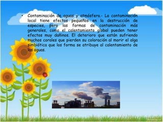 • Contaminación de aguas y atmósfera.- La contaminación
local tiene efectos pequeños en la destrucción de
especies, pero las formas de contaminación más
generales, como el calentamiento global pueden tener
efectos muy dañinos. El deterioro que están sufriendo
muchos corales que pierden su coloración al morir el alga
simbiótica que los forma se atribuye al calentamiento de
las aguas.
 