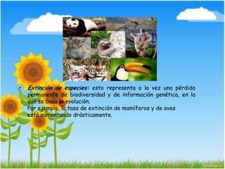 • Extinción de especies: esto representa a la vez una pérdida
permanente de biodiversidad y de información genética, en la
que se basa la evolución.
Por ejemplo, la tasa de extinción de mamíferos y de aves
está aumentando drásticamente.
 