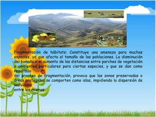 Fragmentación de hábitats: Constituye una amenaza para muchas
especies, ya que afecta el tamaño de las poblaciones. La disminución
del tamaño o el aumento de las distancias entre parches de vegetación
o ambientes particulares para ciertas especies, y que se dan como
resultado
del proceso de fragmentación, provoca que las zonas preservadas o
áreas protegidas se comporten como islas, impidiendo la dispersión de
individuos
entre las mismas.
 