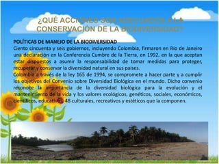 ¿QUÉ ACCIONES SON ADECUADOS A LA
CONSERVACIÓN DE LA BIODIVERSIDAD?
POLÍTICAS DE MANEJO DE LA BIODIVERSIDAD
Ciento cincuenta y seis gobiernos, incluyendo Colombia, firmaron en Río de Janeiro
una declaración en la Conferencia Cumbre de la Tierra, en 1992, en la que aceptan
estar dispuestos a asumir la responsabilidad de tomar medidas para proteger,
recuperar y conservar la diversidad natural en sus países.
Colombia a través de la ley 165 de 1994, se compromete a hacer parte y a cumplir
los objetivos del Convenio sobre Diversidad Biológica en el mundo. Dicho convenio
reconoce la importancia de la diversidad biológica para la evolución y el
mantenimiento de la vida y los valores ecológicos, genéticos, sociales, económicos,
científicos, educativos, 48 culturales, recreativos y estéticos que la componen.
 