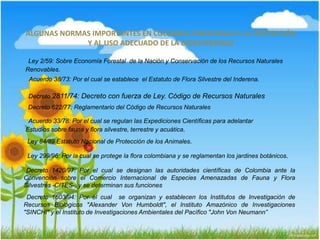 ALGUNAS NORMAS IMPORTANTES EN COLOMBIA ORIENTADAS A LA PROTECCIÓN
Y AL USO ADECUADO DE LA BIODIVERSIDAD
Ley 2/59: Sobre Economía Forestal de la Nación y Conservación de los Recursos Naturales
Renovables.
Acuerdo 38/73: Por el cual se establece el Estatuto de Flora Silvestre del Inderena.
Decreto 2811/74: Decreto con fuerza de Ley. Código de Recursos Naturales
Decreto 622/77: Reglamentario del Código de Recursos Naturales
Acuerdo 33/78: Por el cual se regulan las Expediciones Científicas para adelantar
Estudios sobre fauna y flora silvestre, terrestre y acuática.
Ley 84/89 Estatuto Nacional de Protección de los Animales.
Ley 299/96: Por la cual se protege la flora colombiana y se reglamentan los jardines botánicos.
Decreto 1420/97: Por el cual se designan las autoridades científicas de Colombia ante la
Convención sobre el Comercio Internacional de Especies Amenazadas de Fauna y Flora
Silvestres -CITES-, y se determinan sus funciones
Decreto 1603/94: Por el cual se organizan y establecen los Institutos de Investigación de
Recursos Biológicos "Alexander Von Humboldt", el Instituto Amazónico de Investigaciones
"SINCHI" y el Instituto de Investigaciones Ambientales del Pacífico "John Von Neumann”
 