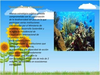 "Naturalmente Colombia"
Alianza estratégica público-privada
comprometida con la conservación
de la biodiversidad del país en la que
participan varias instituciones
coordinadas por el Ministerio de
ambiente y Desarrollo Sostenible y
la Agencia Presidencial de
Cooperación Internacional de
Colombia (APC).
En la iniciativa están
comprometidas 12 instituciones que
reúnen el conocimien-to,
la experiencia y la capacidad de acción
para ejecutar coordinadamente
inversiones que impulsen la
con-servación y protección de más de 2
millones de hectáreas en ecosistemas
estratégicos
 