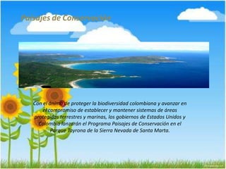 Paisajes de Conservación
Con el ánimo de proteger la biodiversidad colombiana y avanzar en
el compromiso de establecer y mantener sistemas de áreas
protegidas terrestres y marinas, los gobiernos de Estados Unidos y
Colombia lanzarán el Programa Paisajes de Conservación en el
Parque Tayrona de la Sierra Nevada de Santa Marta.
 