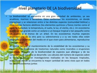 nivel planetario DE LA biodiversidad
• La biodiversidad se encuentra en una gran variedad de ambientes, ya sea
acuáticos, marinos o terrestres. Éstos conforman los ecosistemas, en donde
interactúan y se relacionan entre sí las distintas especies (comunidad biótica) y
éstas con los factores abióticos (los elementos químicos y físicos inertes como el
agua, la humedad, la temperatura, el suelo, la luz, el viento, etc.). Un ecosistema
puede ser tan grande como un océano o un bosque tropical o tan pequeño como
un acuario o el tronco de un árbol. En los ecosistemas muchas especies
dependen una de la otra para su sobrevivencia y a su vez todas ellas están
adaptadas y dependen del medio en el que viven para alimentarse, reproducirse
y perpetuarse.
• Al mismo tiempo, el mantenimiento de la estabilidad de los ecosistemas y su
capacidad de recobrarse de trastornos naturales como incendios o erupciones
volcánicas, depende de la biodiversidad de especies que albergue y de las
condiciones en que ésta se desarrolle. Los cálculos del número de especies sobre
la Tierra se basan en investigaciones realizadas en los bosques tropicales,
ecosistema donde se encuentra la mayor cantidad de seres vivos que en todos
los otros ecosistemas juntos
 