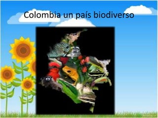 Colombia un país biodiverso
 