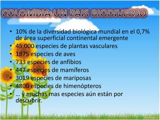 • 10% de la diversidad biológica mundial en el 0,7%
de área superficial continental emergente
• 45.000 especies de plantas vasculares
• 1875 especies de aves
• 733 especies de anfibios
• 447 especies de mamíferos
• 3019 especies de mariposas
• 4800 especies de himenópteros
• … y muchas mas especies aún están por
descubrir.
 