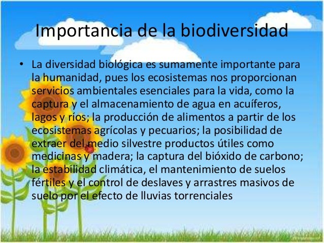Resultado de imagen para importancia de la biodiversidad
