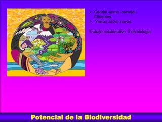 Potencial de la Biodiversidad
 Gabriel Jaime carvajal
Cifuentes.
 Yeison Javier navas.
Trabajo colaborativo 3 de biologia
 
