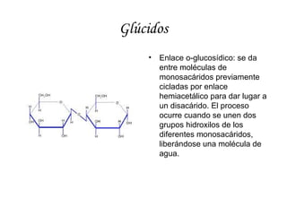 Glúcidos
•

Enlace o-glucosídico: se da
entre moléculas de
monosacáridos previamente
cicladas por enlace
hemiacetálico par...