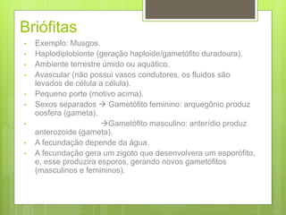 Briófitas
• Exemplo: Musgos.
• Haplodiplobionte (geração haploide/gametófito duradoura).
• Ambiente terrestre úmido ou aquático.
• Avascular (não possui vasos condutores, os fluidos são
levados de célula a célula).
• Pequeno porte (motivo acima).
• Sexos separados  Gametófito feminino: arquegônio produz
oosfera (gameta).
• Gametófito masculino: anterídio produz
anterozoide (gameta).
• A fecundação depende da água.
• A fecundação gera um zigoto que desenvolvera um esporófito,
e, esse produzira esporos, gerando novos gametófitos
(masculinos e femininos).
 