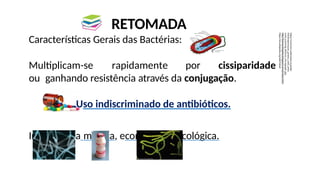 RETOMADA
Características Gerais das Bactérias:
Multiplicam-se rapidamente por cissiparidade
ou ganhando resistência através da conjugação.
Uso indiscriminado de antibióticos.
Importância médica, econômica e ecológica.
https://commons.wikimedia.org/wiki/
File:Streptomyces_griseus_color_enha
nced_scanning_electron_micrograph..jpg
http://biomariangeles.blogspot.com/p/inicio.html
https://en.wikipedia.org/wiki/Yakult
 