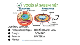 VOCÊS JÁ SABEM NÉ?
DOMÍNIO EUKARYA
● Protozoários/Algas
● Fungos
● Animais
● Plantas
DOMÍNIO ARCHAEA
DOMÍNIO
BACTERIA
https://pixabay.com/pt/vectors/gancho-razo%C3%A1vel-verifique-s%C3%ADmbolo-
1425312/ https://wikiciencias.casadasciencias.org/wiki/index.php/Procarionte
 