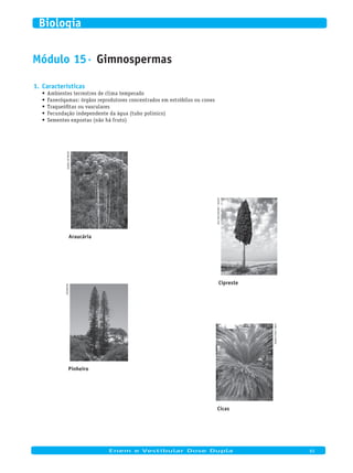 Módulo 15· Gimnospermas
Características1.
Ambientes terrestres de clima temperado•	
Fanerógamas: órgãos reprodutores concentrados em estróbilos ou cones•	
Traqueófitas ou vasculares•	
Fecundação independente da água (tubo polínico)•	
Sementes expostas (não há fruto)•	
reinalDotronto
Araucária
iofoto/Dreamstime.Com
Cipreste
WikimeDia
Pinheiro
CorelstoCkPhotos
Cicas
	
Enem e Vestibular Dose Dupla 93
Biologia
 