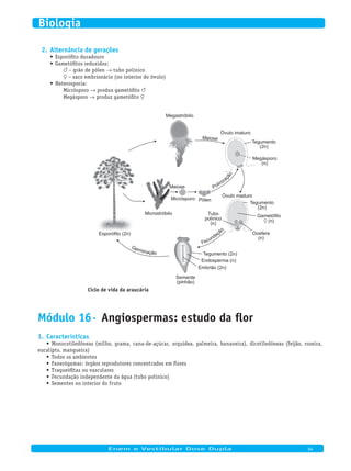 Alternância de gerações2.
Esporófito duradouro•	
Gametófitos reduzidos:•	
Y – grão de pólen → tubo polínico
X – saco embrionário (no interior do óvulo)
Heterosporia:•	
Micrósporo → produz gametófito Y
Megásporo → produz gametófito X
Fecundaçã
o
Megastróbilo
Meiose
Óvulo imaturo
Tegumento
(2n)
Megásporo
(n)
Óvulo maduro
Tegumento
(2n)
Gametófito
X (n)
Oosfera
(n)
Tubo
polínico
(n)
Tegumento (2n)
Endosperma (n)
Embrião (2n)
Semente
(pinhão)
Esporófito (2n)
Microstróbilo
Meiose
Micrósporo Pólen
Germinação
Polinizaç
ão
Ciclo de vida da araucária
Módulo 16· Angiospermas: estudo da flor
Características1.
Monocotiledôneas (milho, grama, cana-de-açúcar, orquídea, palmeira, bananeira), dicotiledôneas (feijão, roseira,•	
eucalipto, mangueira)
Todos os ambientes•	
Fanerógamas: órgãos reprodutores concentrados em flores•	
Traqueófitas ou vasculares•	
Fecundação independente da água (tubo polínico)•	
Sementes no interior do fruto•	
	
Enem e Vestibular Dose Dupla 94
Biologia
 