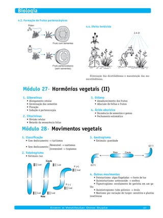 Formação de frutos partenocárpicos4.2.
Fruto com sementes
Fruto partenocárpico
(sem sementes)
Pólen
Efeito herbicida4.4.
2,4–D
Eliminação das dicotiledôneas e manutenção das mo-
nocotiledôneas.
Módulo 27· Hormônios vegetais (II)
Giberelinas1.
Alongamento celular•	
Germinação das sementes•	
Floração•	
Indução à partenocarpia•	
Citocininas2.
Divisão celular•	
Retardo da senescência foliar•	
Etileno3.
Amadurecimento dos frutos•	
Abscisão de folhas e frutos•	
Ácido abscísico4.
Dormência de sementes e gemas•	
Fechamento estomático•	
Módulo 28· Movimentos vegetais
Classificação1.
Com deslocamento•	 → tactismos
Sem deslocamento•	
→
→
Reversível nastismos
Irreversível tropismos
Fototropismo2.
Estímulo: luz•	
Luz
Luz Luz
Luz
Luz
F (+)
Caule
Raiz
Luz
F (–)
Geotropismo3.
Estímulo: gravidade•	
CauleRaiz
G
G(+)
(–)
Outros movimentos4.
Fototactismo: algas flageladas•	 → fonte de luz
Quimiotactismo: anterozoide•	 → oosfera
Tigmotropismo: enrolamento de gavinha em um ga-•	
lho
Quimiotropismo: tubo polínico•	 → óvulo
Nastismo por variação de turgor: sensitiva e plantas•	
insetívoras
	
Enem e Vestibular Dose Dupla 107
Biologia
 