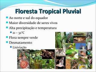 Ao norte e sul do equador
Maior diversidade de seres vivos
Alta precipitação e temperatura
21 – 32°C
Flora sempre verde
Desmatamento
Lixiviação
Floresta Tropical PluvialFloresta Tropical Pluvial
 