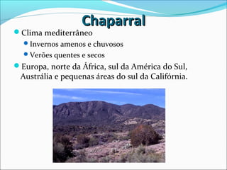 ChaparralChaparral
Clima mediterrâneo
Invernos amenos e chuvosos
Verões quentes e secos
Europa, norte da África, sul da América do Sul,
Austrália e pequenas áreas do sul da Califórnia.
 