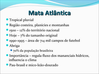 Mata AtlânticaMata Atlântica
Tropical pluvial
Região costeira, planícies e montanhas
1500 – 12% do território nacional
Hoje – 7% do tamanho original
1990-1995 – área de 714 mil campos de futebol
Abriga
70% da população brasileira
Importância – regula fluxo dos mananciais hídricos,
influencia o clima
Pau-brasil e mico-leão-dourado
 