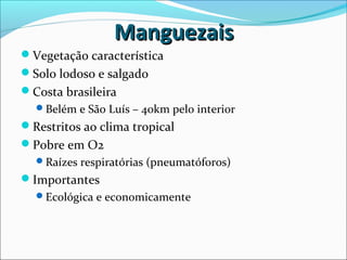 ManguezaisManguezais
Vegetação característica
Solo lodoso e salgado
Costa brasileira
Belém e São Luís – 40km pelo interior
Restritos ao clima tropical
Pobre em O2
Raízes respiratórias (pneumatóforos)
Importantes
Ecológica e economicamente
 