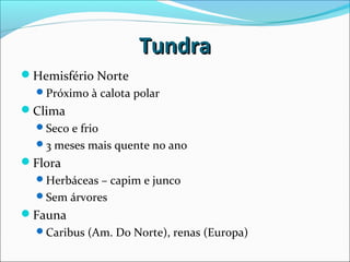 TundraTundra
Hemisfério Norte
Próximo à calota polar
Clima
Seco e frio
3 meses mais quente no ano
Flora
Herbáceas – capim e junco
Sem árvores
Fauna
Caribus (Am. Do Norte), renas (Europa)
 