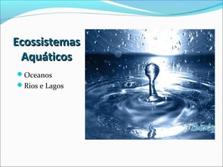 EcossistemasEcossistemas
AquáticosAquáticos
Oceanos
Rios e Lagos
 