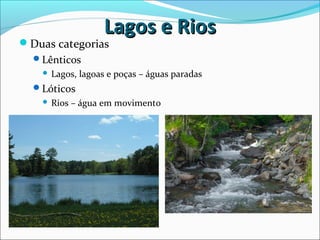 Lagos e RiosLagos e Rios
Duas categorias
Lênticos
 Lagos, lagoas e poças – águas paradas
Lóticos
 Rios – água em movimento
 