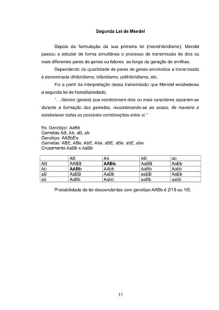 Segunda Lei de Mendel
Depois da formulação da sua primeira lei (monohibridismo), Mendel
passou a estudar de forma simultânea o processo de transmissão de dois ou
mais diferentes pares de genes ou fatores ao longo da geração de ervilhas.
Dependendo da quantidade de pares de genes envolvidos a transmissão
é denominada dihibridismo, triibridismo, polihibriidismo, etc.
Foi a partir da interpretação dessa transmissão que Mendel estabeleceu
a segunda lei de hereditariedade.
“….fatores (genes) que condicionam dois ou mais caracteres separam-se
durante a formação dos gametas, recombinando-se ao acaso, de maneira a
estabelecer todas as possíveis combinações entre si.”
Ex. Genótipo: AaBb
Gametas AB, Ab, aB, ab
Genótipo: AABbEe
Gametas: ABE, ABe, AbE, Abe, aBE, aBe, abE, abe
Cruzamento AaBb x AaBb
AB Ab AB ab
AB AABB AABb AaBB AaBb
Ab AABb AAbb AaBb Aabb
aB AaBB AaBb aaBB AaBb
ab AaBb Aabb aaBb aabb
Probabilidade de ter descendentes com genótipo AABb é 2/16 ou 1/8.
13
 