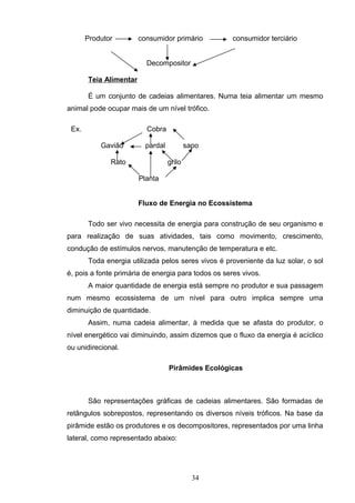 Produtor consumidor primário consumidor terciário
Decompositor
Teia Alimentar
É um conjunto de cadeias alimentares. Numa teia alimentar um mesmo
animal pode ocupar mais de um nível trófico.
Ex. Cobra
Gavião pardal sapo
Rato grilo
Planta
Fluxo de Energia no Ecossistema
Todo ser vivo necessita de energia para construção de seu organismo e
para realização de suas atividades, tais como movimento, crescimento,
condução de estímulos nervos, manutenção de temperatura e etc.
Toda energia utilizada pelos seres vivos é proveniente da luz solar, o sol
é, pois a fonte primária de energia para todos os seres vivos.
A maior quantidade de energia está sempre no produtor e sua passagem
num mesmo ecossistema de um nível para outro implica sempre uma
diminuição de quantidade.
Assim, numa cadeia alimentar, à medida que se afasta do produtor, o
nível energético vai diminuindo, assim dizemos que o fluxo da energia é acíclico
ou unidirecional.
Pirâmides Ecológicas
São representações gráficas de cadeias alimentares. São formadas de
retângulos sobrepostos, representando os diversos níveis tróficos. Na base da
pirâmide estão os produtores e os decompositores, representados por uma linha
lateral, como representado abaixo:
34
 