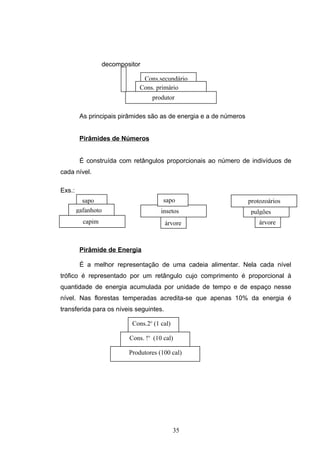 decompositor
As principais pirâmides são as de energia e a de números
Pirâmides de Números
É construída com retângulos proporcionais ao número de indivíduos de
cada nível.
Exs.:
Pirâmide de Energia
É a melhor representação de uma cadeia alimentar. Nela cada nível
trófico é representado por um retângulo cujo comprimento é proporcional à
quantidade de energia acumulada por unidade de tempo e de espaço nesse
nível. Nas florestas temperadas acredita-se que apenas 10% da energia é
transferida para os níveis seguintes.
35
Cons.secundário
Cons. primário
produtor
sapo
gafanhoto
capim
insetos
árvore
sapo
árvore
pulgões
protozoários
Cons.2o
(1 cal)
Cons. !o
(10 cal)
Produtores (100 cal)
 